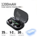 Earphone with power bank