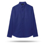 Wrinkle-Free Slim Fit Shirt BLUE