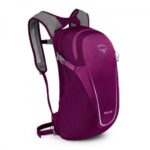 Osprey Daylite Eggplant Purple