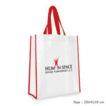 Non Woven Bag SNWB 5671