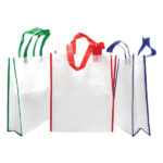 Non Woven Bag SNWB 5677