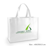 Non Woven Bag SNWB 5672